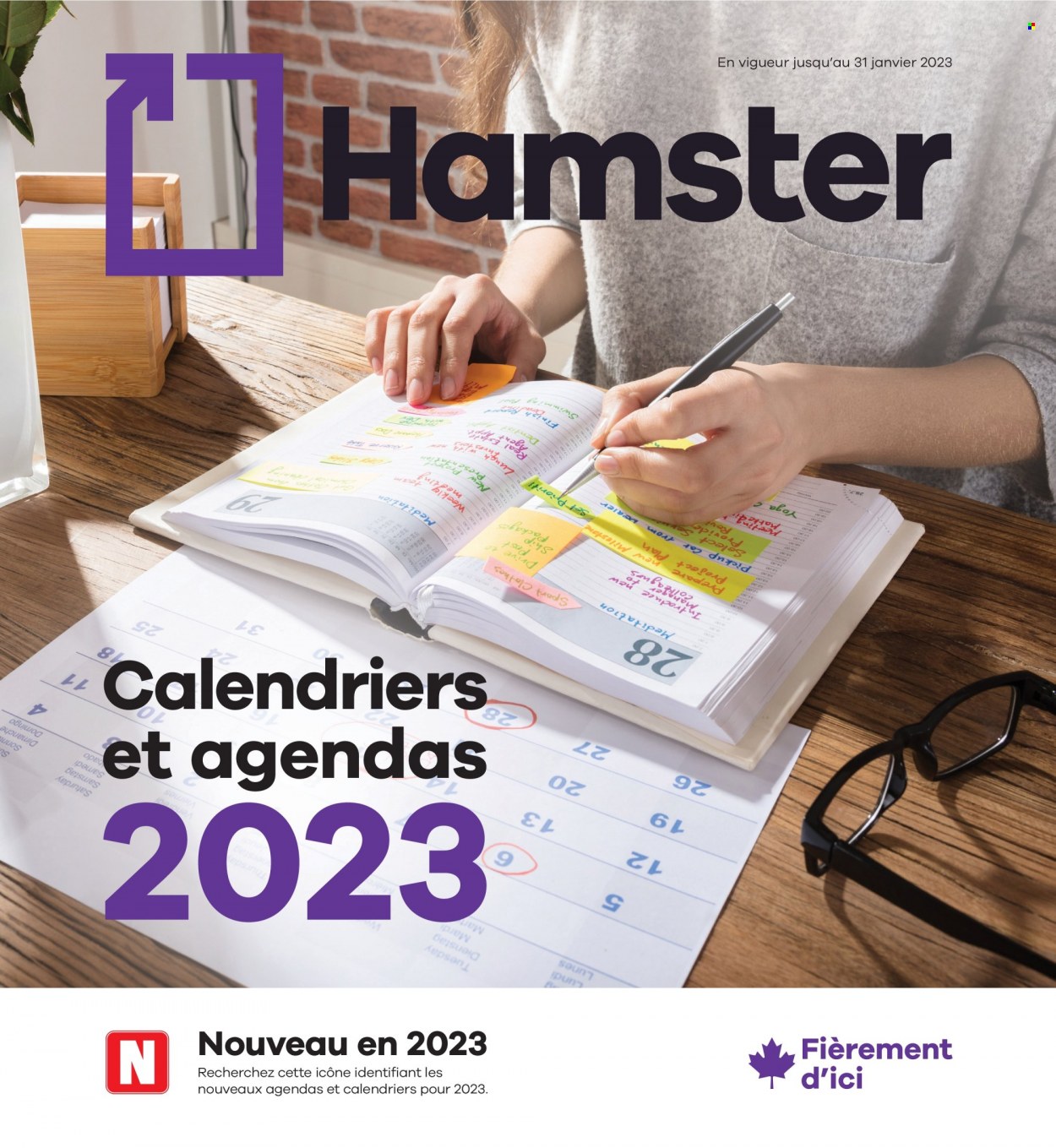 Hamster flyer  - July 18, 2022 - January 31, 2023.