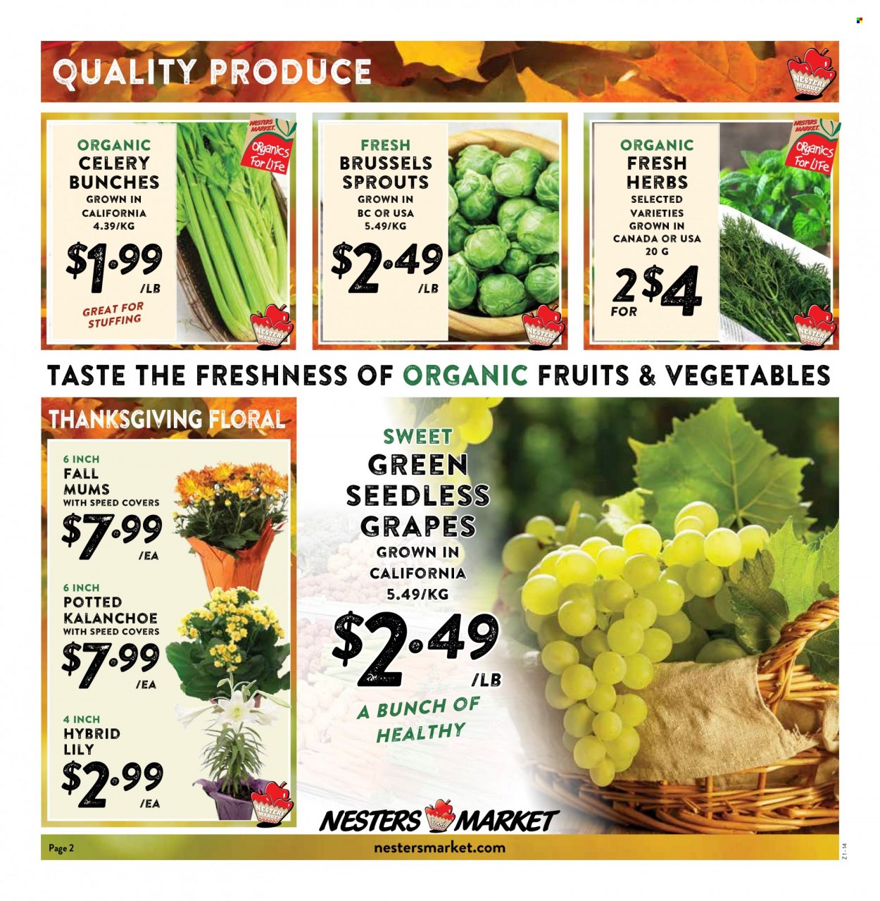 Nesters Food Market flyer  - October 02, 2022 - October 08, 2022.