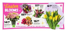 Thrifty Foods - Easter Blooms