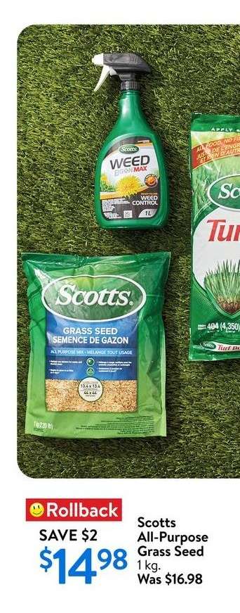 Scotts All-Purpose Grass Seed