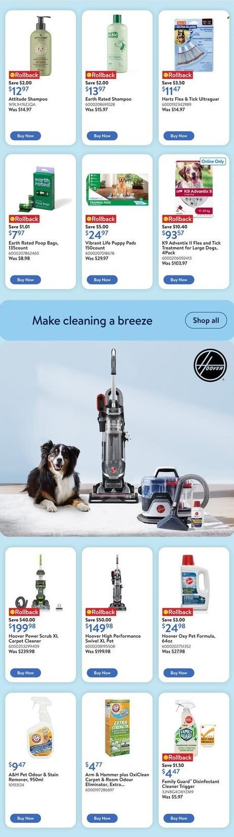 Walmart flyer  - May 01, 2025 - May 28, 2025.