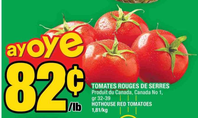 TOMATES ROUGES DE SERRES
