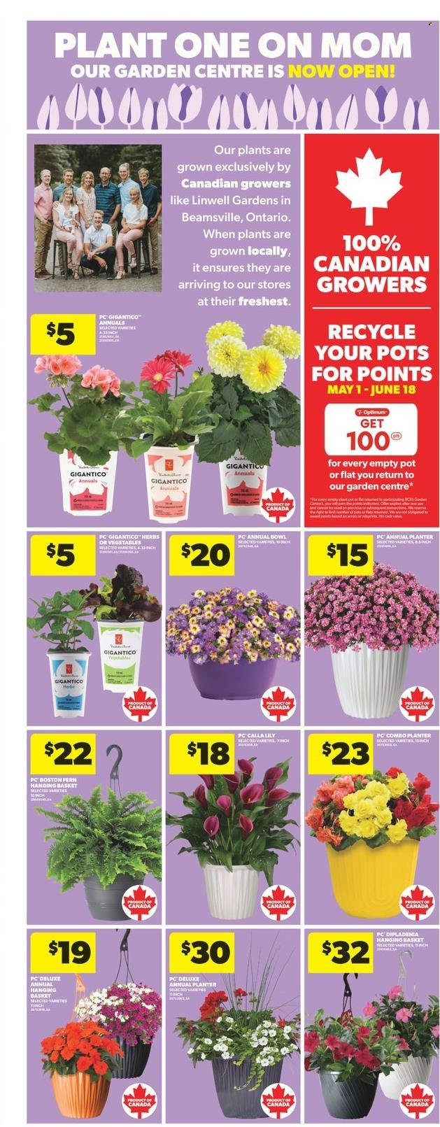 Real Canadian Superstore flyer  - May 08, 2025 - May 14, 2025.