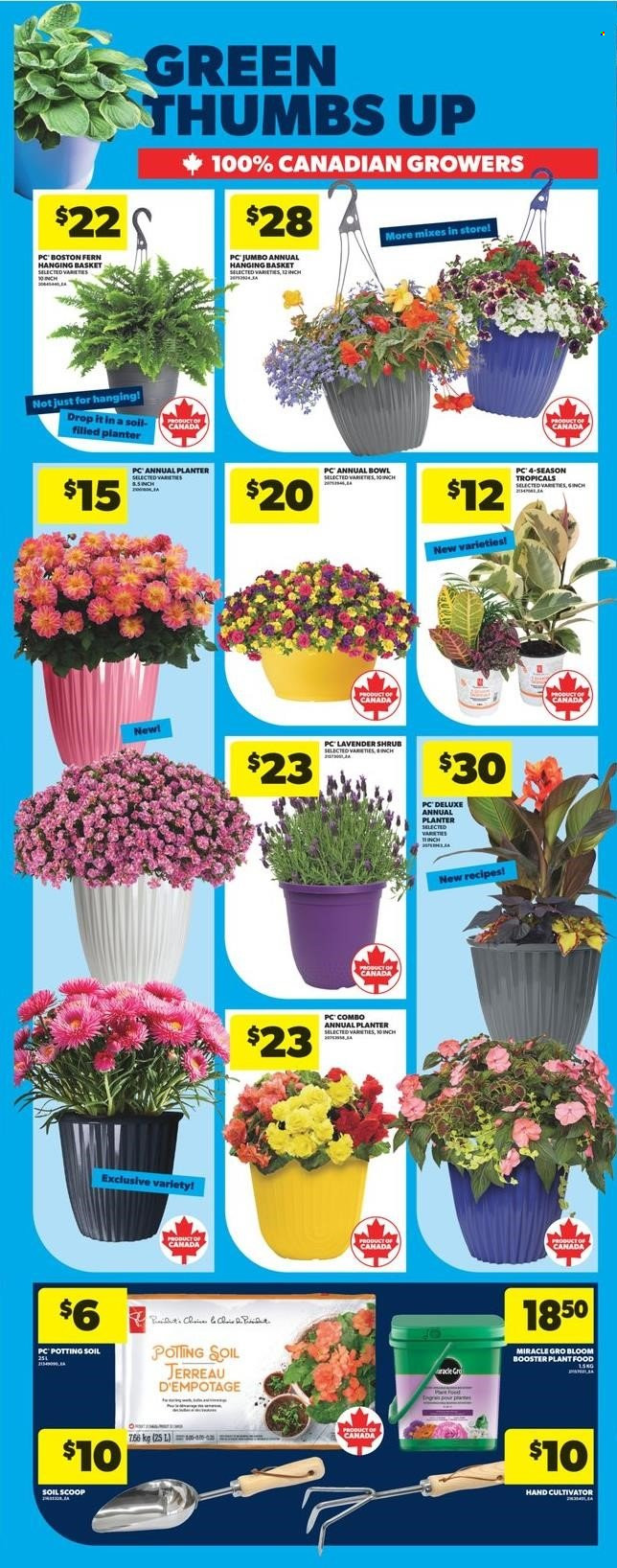 Real Canadian Superstore flyer  - May 08, 2025 - May 14, 2025.