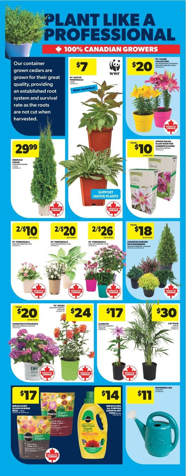 Real Canadian Superstore flyer  - May 08, 2025 - May 14, 2025.