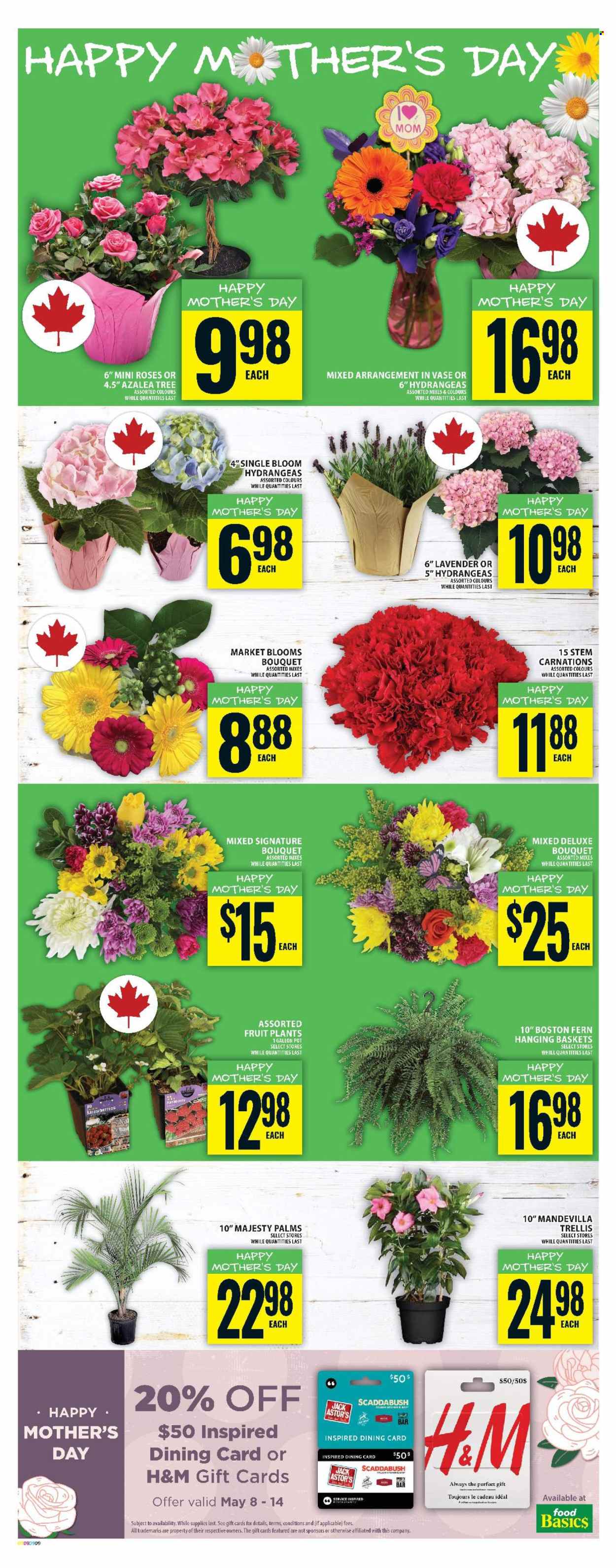 Food Basics flyer  - May 08, 2025 - May 14, 2025.