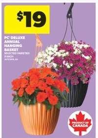 PC Deluxe Annual Hanging Basket