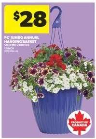 PC Jumbo Annual Hanging Basket