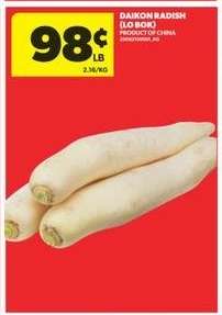 DAIKON RADISH (LO BOK)