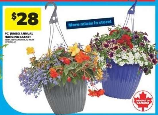 PC Jumbo Annual Hanging Basket