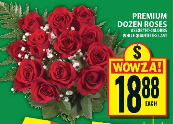 Premium Dozen Roses