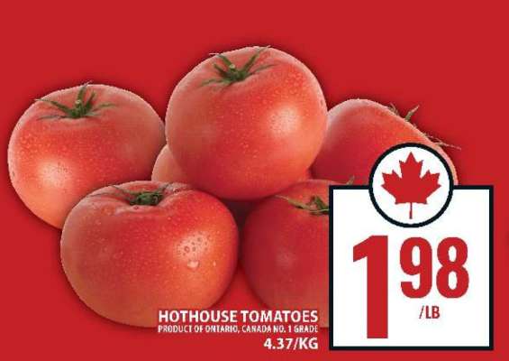 HOTHOUSE TOMATOES