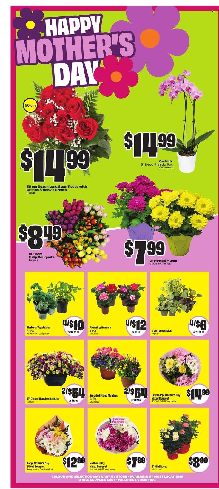 Chalo! FreshCo. flyer  - May 08, 2025 - May 14, 2025.