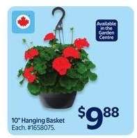 10" Hanging Basket