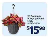 12" Premium Hanging Basket