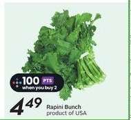 RAPINI, bunch