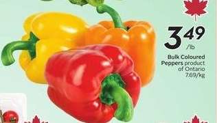 Bulk Coloured Peppers