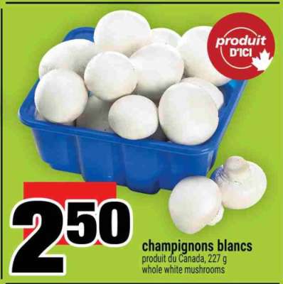 CHAMPIGNONS BLANCS
