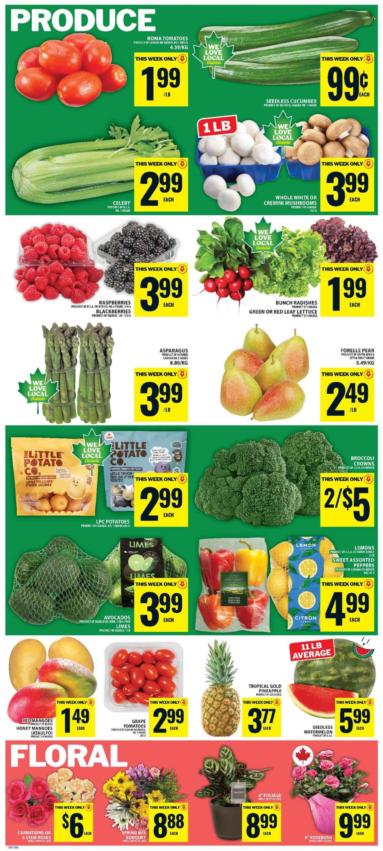Food Basics flyer  - June 18, 2026 - June 24, 2026. Page 6
