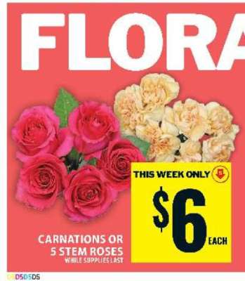 Carnations or 5 Stem Roses