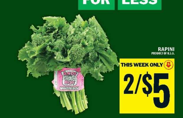 RAPINI