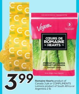 ROMAINE HEARTS