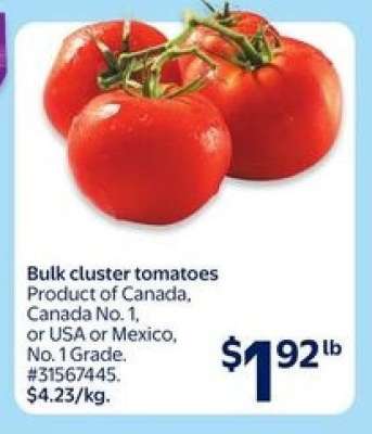 Bulk Cluster Tomatoes