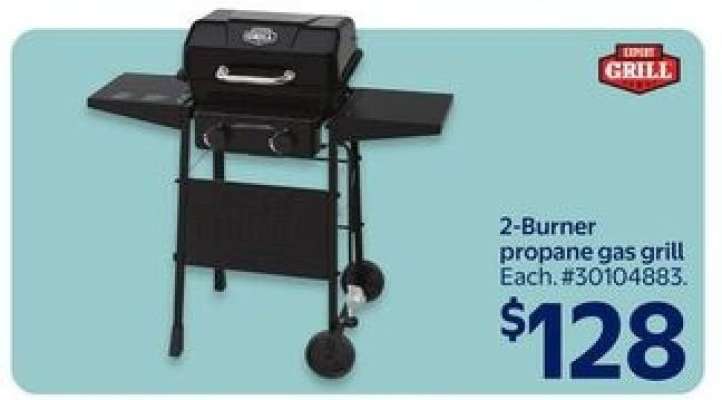 2-Burner Propane Gas Grill