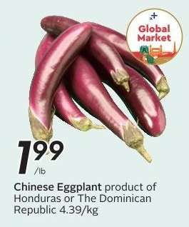 CHINESE EGGPLANT