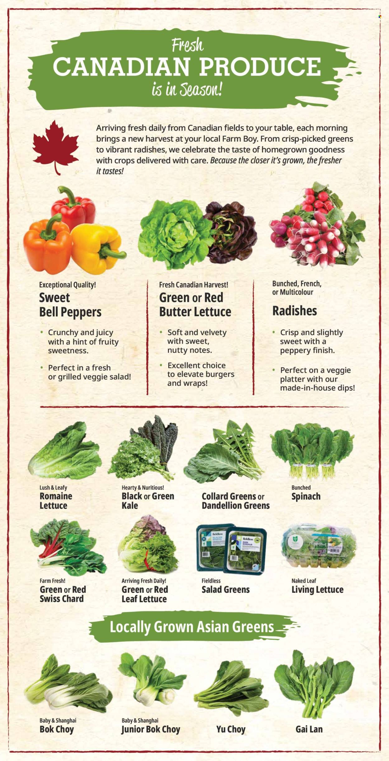 Farm Boy flyer  - June 18, 2026 - June 24, 2026. Page 9