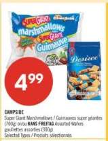 Campside
