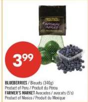 BLUEBERRIES / Bleuets