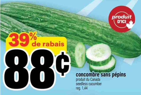 CONCOMBRE SANS PÉPINS