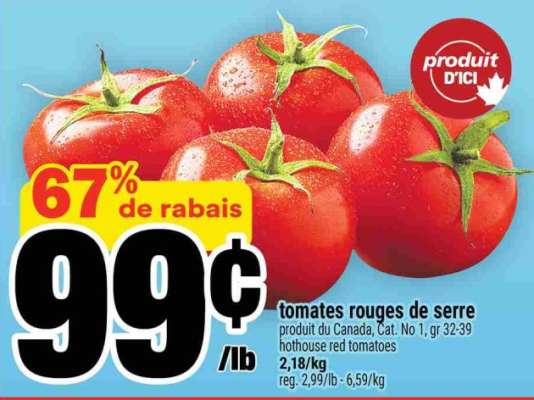 TOMATES ROUGES DE SERRE