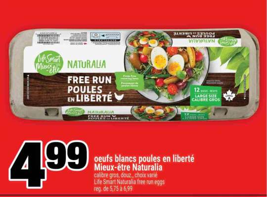 OEUFS BLANCS POULES EN LIBERTÉ MIEUX-ÊTRE NATURALIA