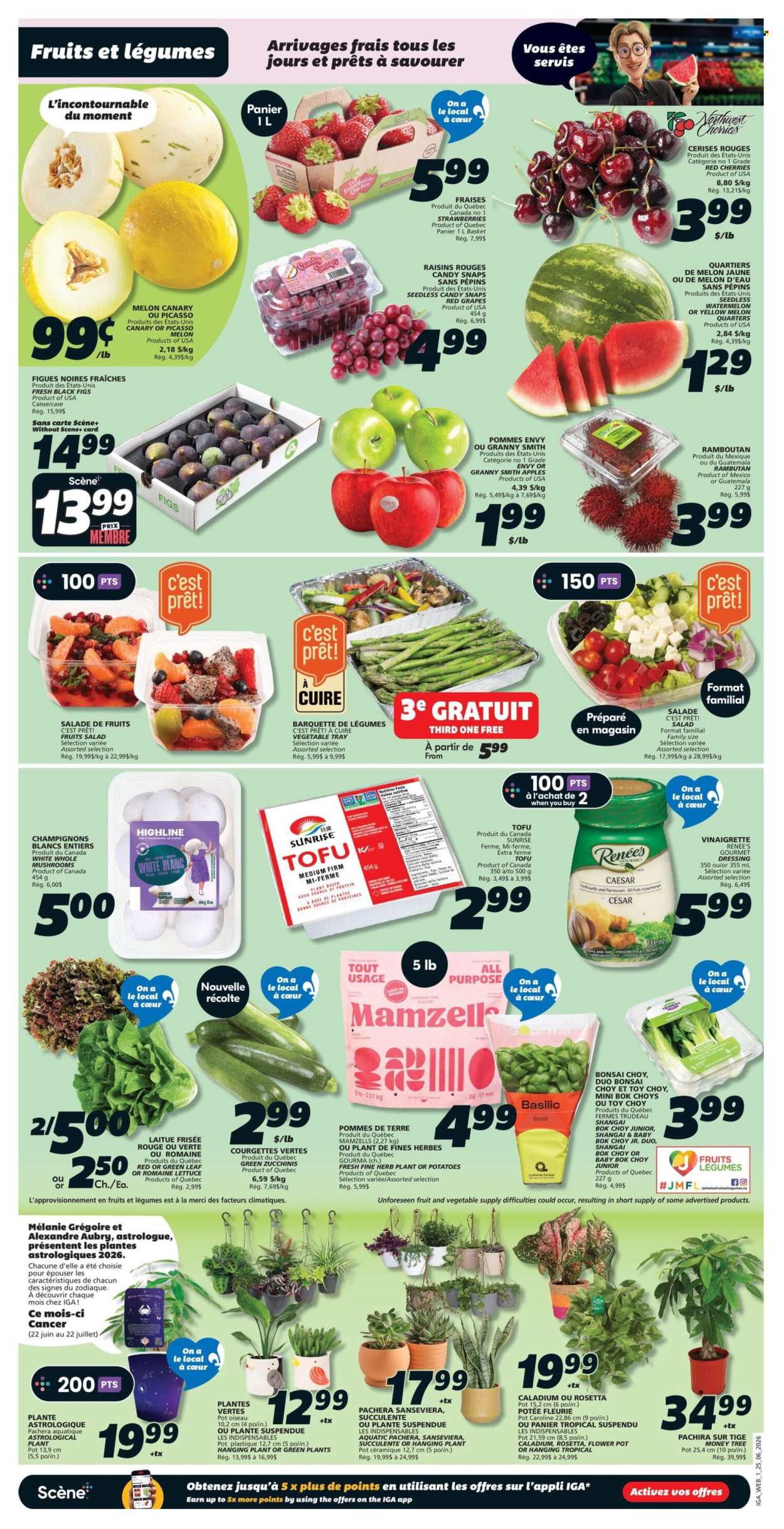 IGA flyer  - June 25, 2026 - July 01, 2026. Page 3