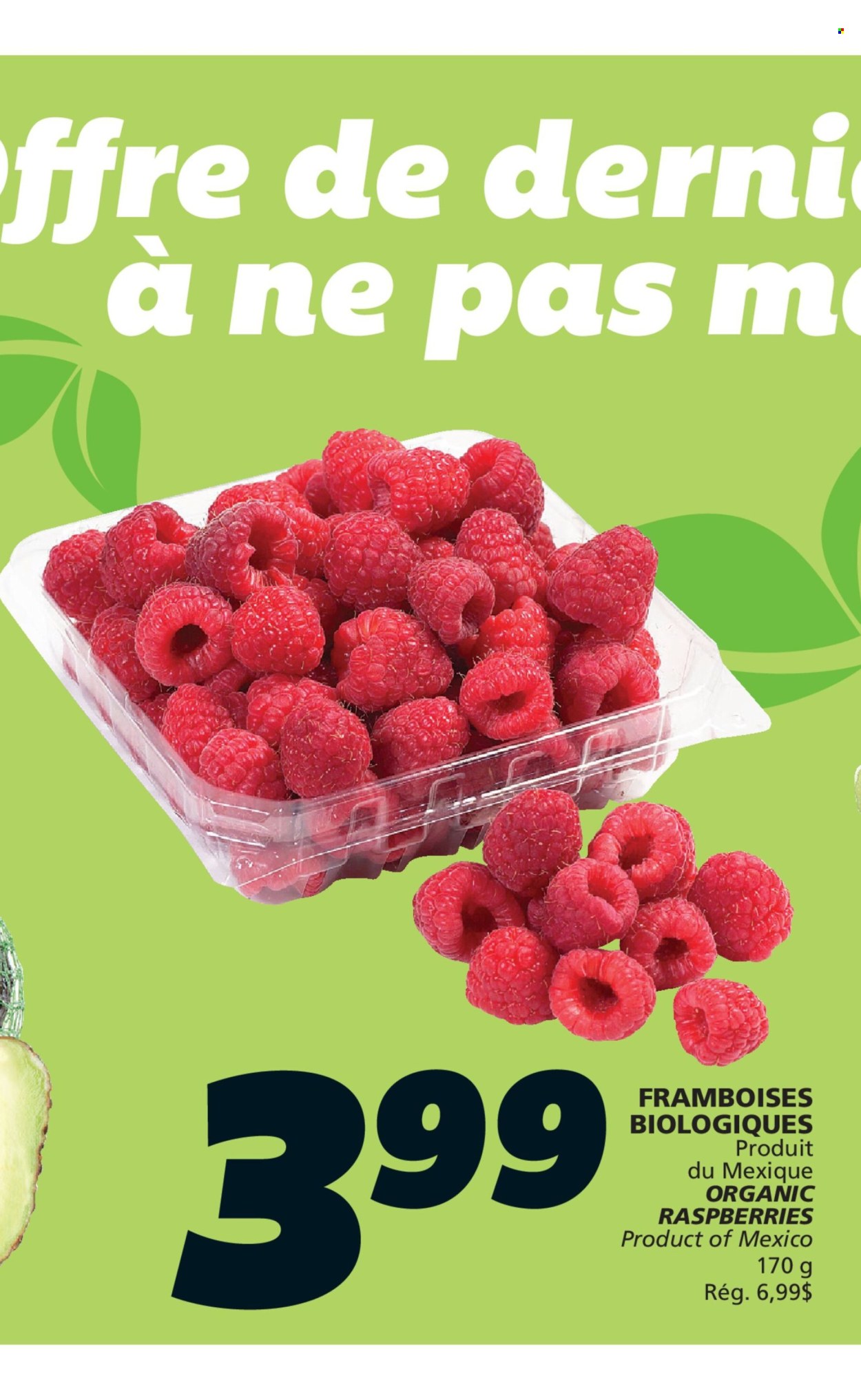 IGA flyer  - June 25, 2026 - July 01, 2026. Page 5