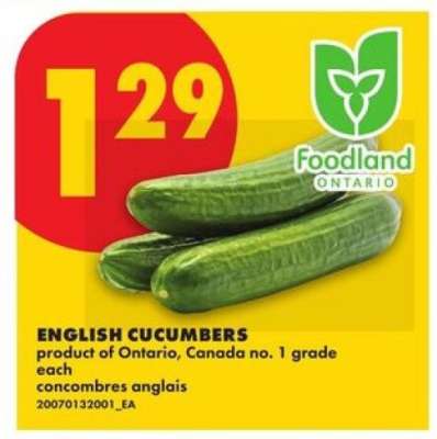 ENGLISH CUCUMBERS