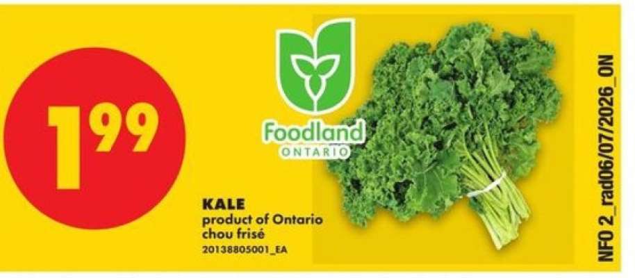 KALE