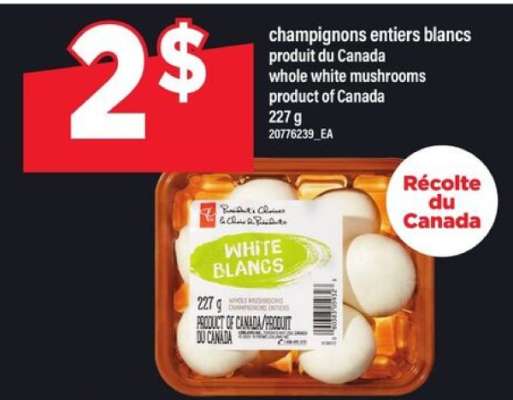 champignons entiers blancs