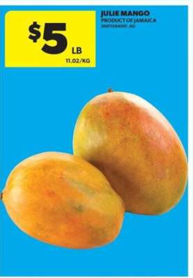 Julie Mango