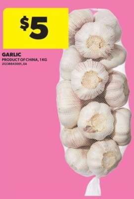 Garlic