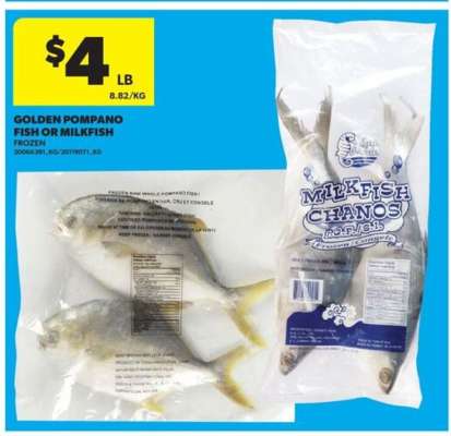 Golden Pompano Fish or Milkfish