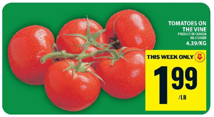 TOMATOES ON THE VINE