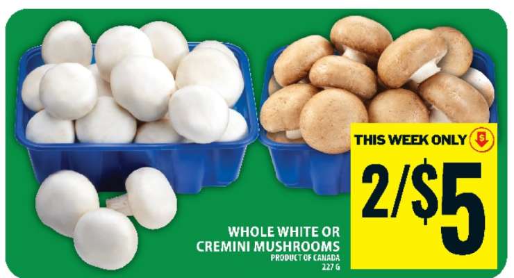 WHOLE WHITE OR CREMINI MUSHROOMS