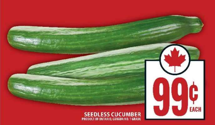 Seedless Cucumber