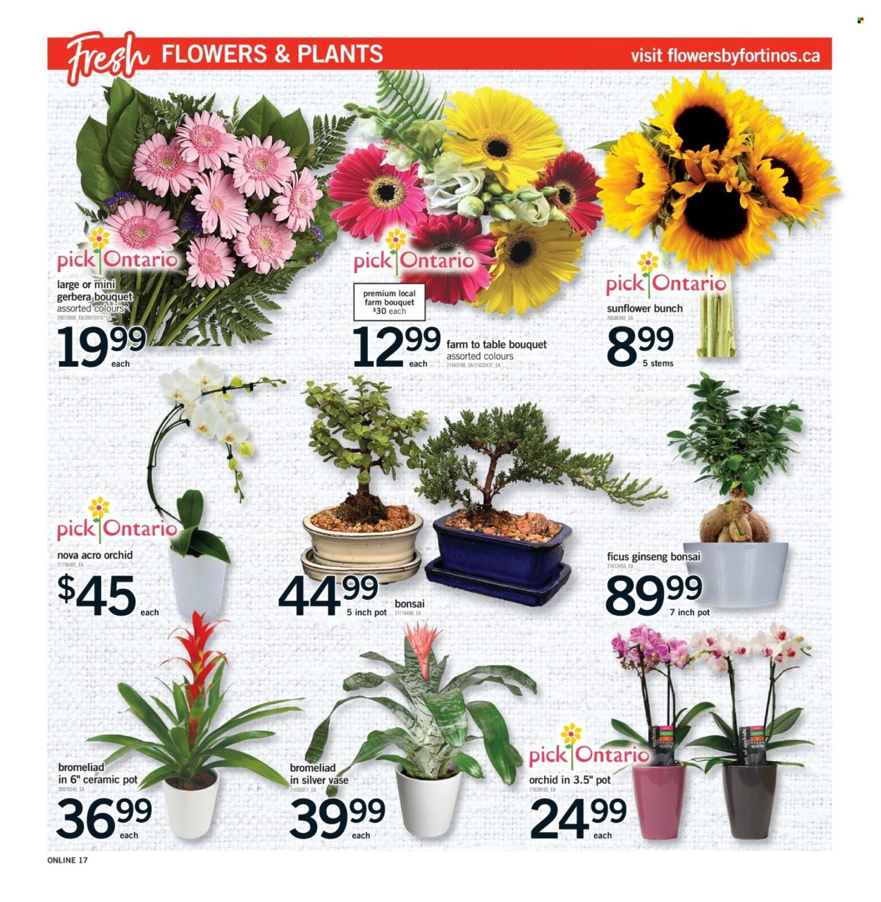 Fortinos flyer  - July 09, 2026 - July 15, 2026. Page 17