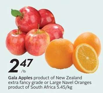 Gala Apples or Large Navel Oranges