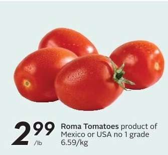 Roma Tomatoes