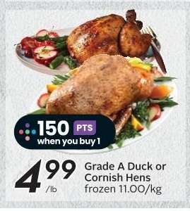 Grade A Duck or Cornish Hens